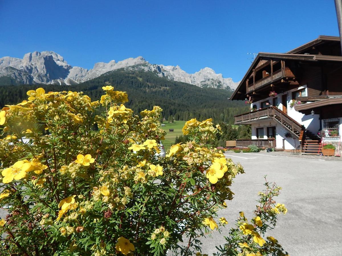 Residence La Pineta Padola Dış mekan fotoğraf