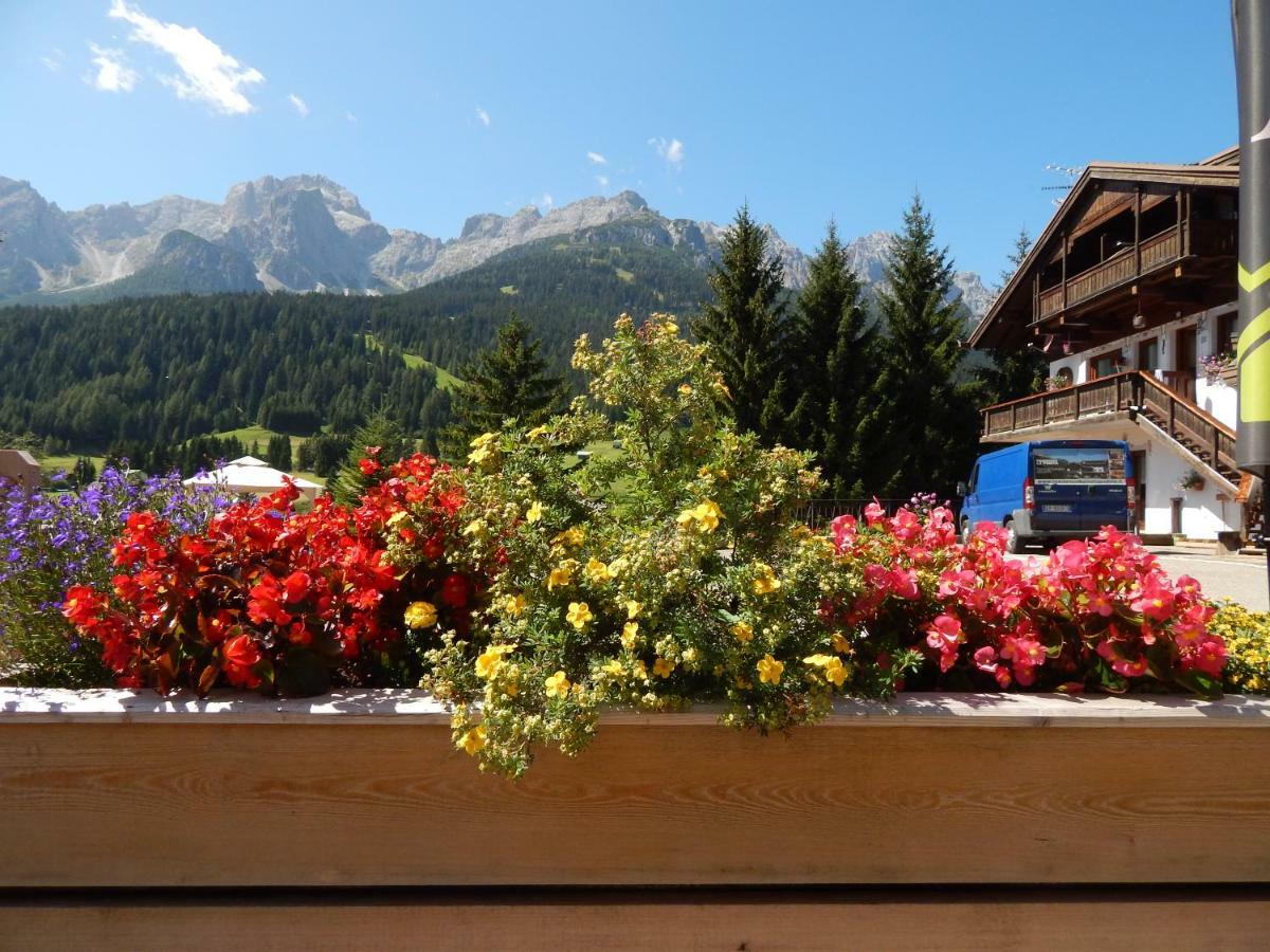 Residence La Pineta Padola Dış mekan fotoğraf