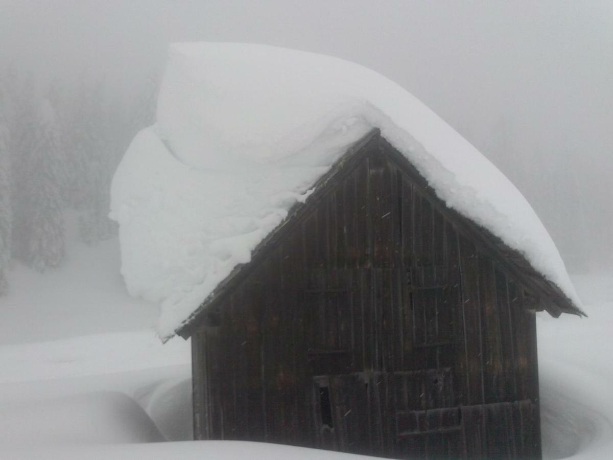Residence La Pineta Padola Dış mekan fotoğraf