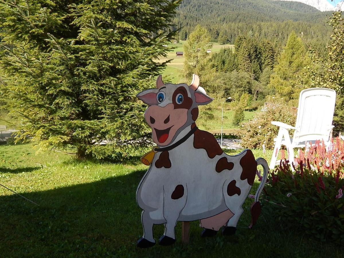 Residence La Pineta Padola Dış mekan fotoğraf