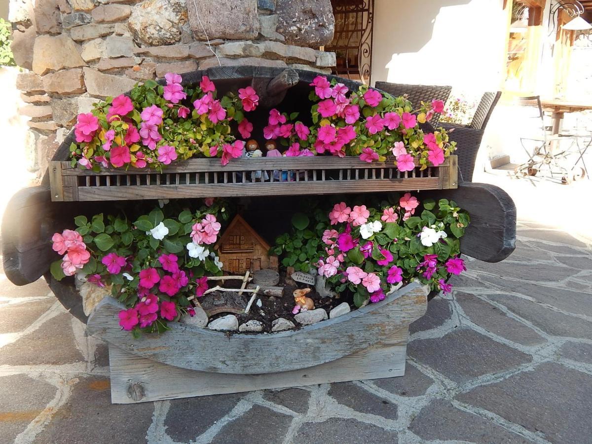 Residence La Pineta Padola Dış mekan fotoğraf