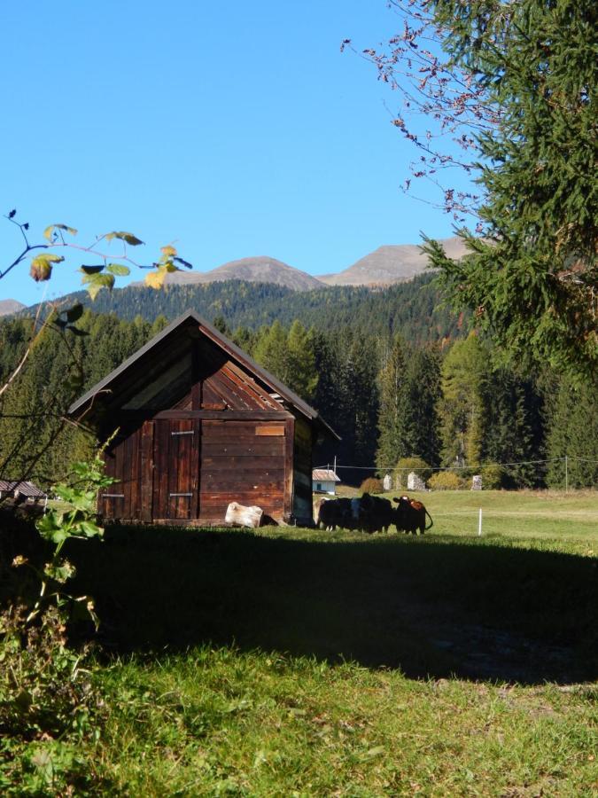 Residence La Pineta Padola Dış mekan fotoğraf